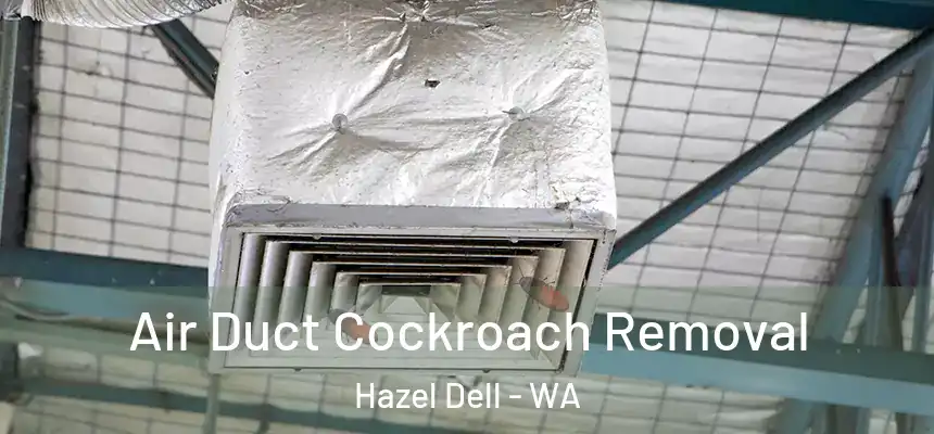 Air Duct Cockroach Removal Hazel Dell - WA
