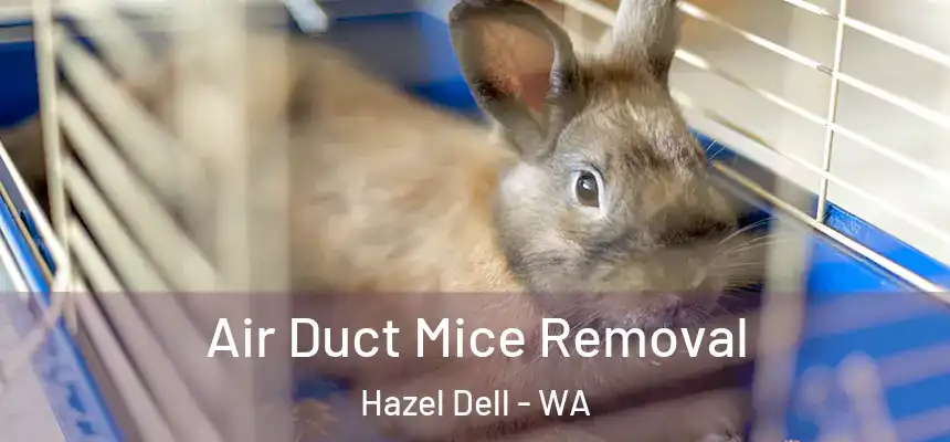  Air Duct Mice Removal Hazel Dell - WA