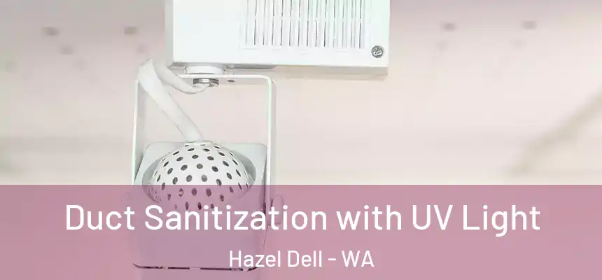  Duct Sanitization with UV Light Hazel Dell - WA