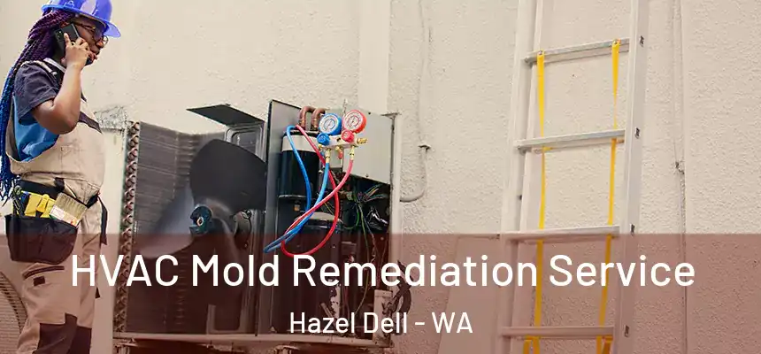  HVAC Mold Remediation Service Hazel Dell - WA