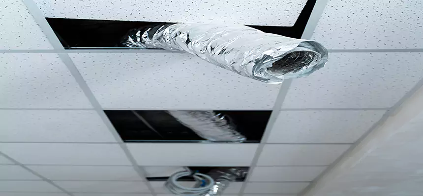 Our Air Duct Pet Hair Removal Services in Hazel Dell, WA