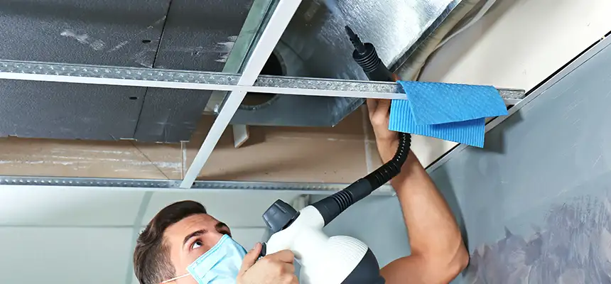 Our Air Duct Rodent Removal Services in Hazel Dell, WA