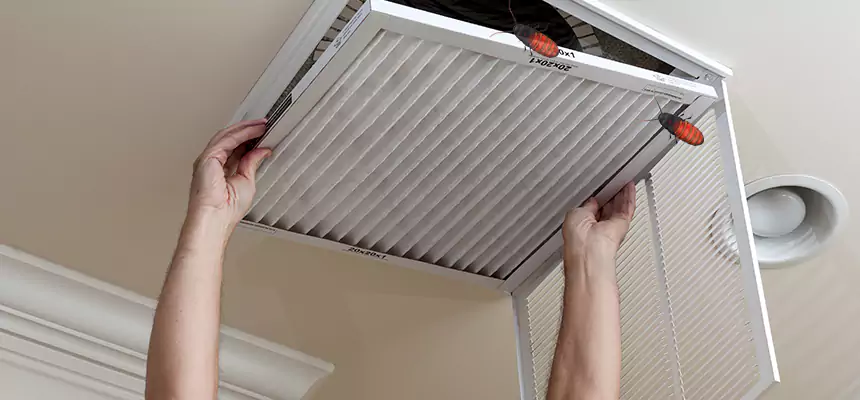 Our Insect Removal from Air Ducts Services in Hazel Dell, WA