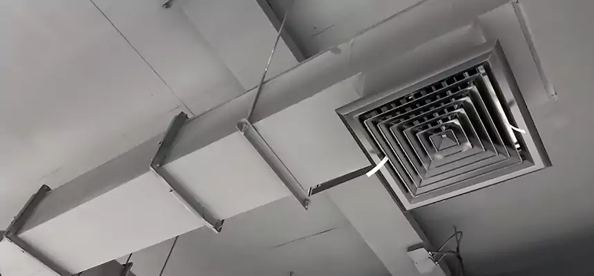 Our Rodent Droppings In Vents Services in Hazel Dell, WA