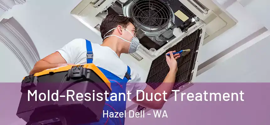  Mold-Resistant Duct Treatment Hazel Dell - WA