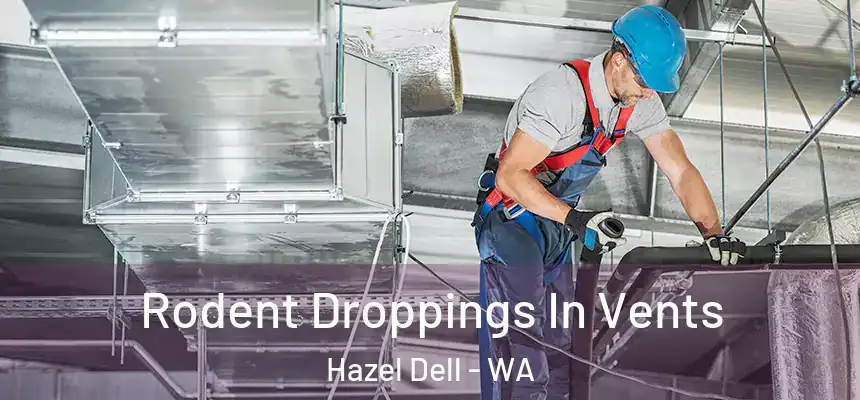  Rodent Droppings In Vents Hazel Dell - WA