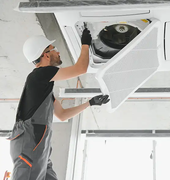 About Air Duct Rodent Removal in Hazel Dell, WA