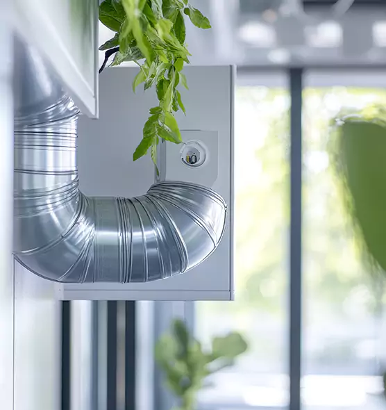 Professional Eco-Safe Dryer Vent Cleaning in Hazel Dell, WA