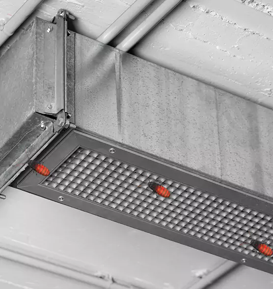 Affordable Insect Removal from Air Ducts in Hazel Dell, WA