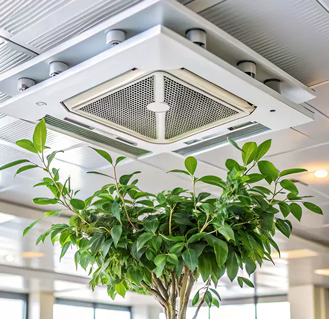 Why Homeowners & Businesses Trust Us in Hazel Dell, WA