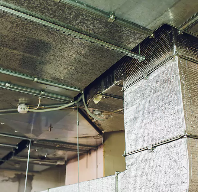 Why Homeowners & Businesses Trust Us in Hazel Dell, WA?