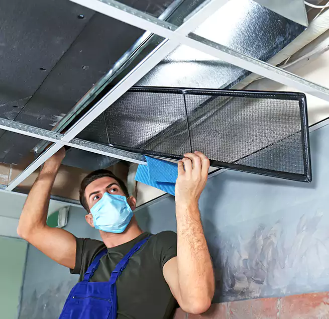 Why Homeowners Businesses Trust Us in Hazel Dell, WA